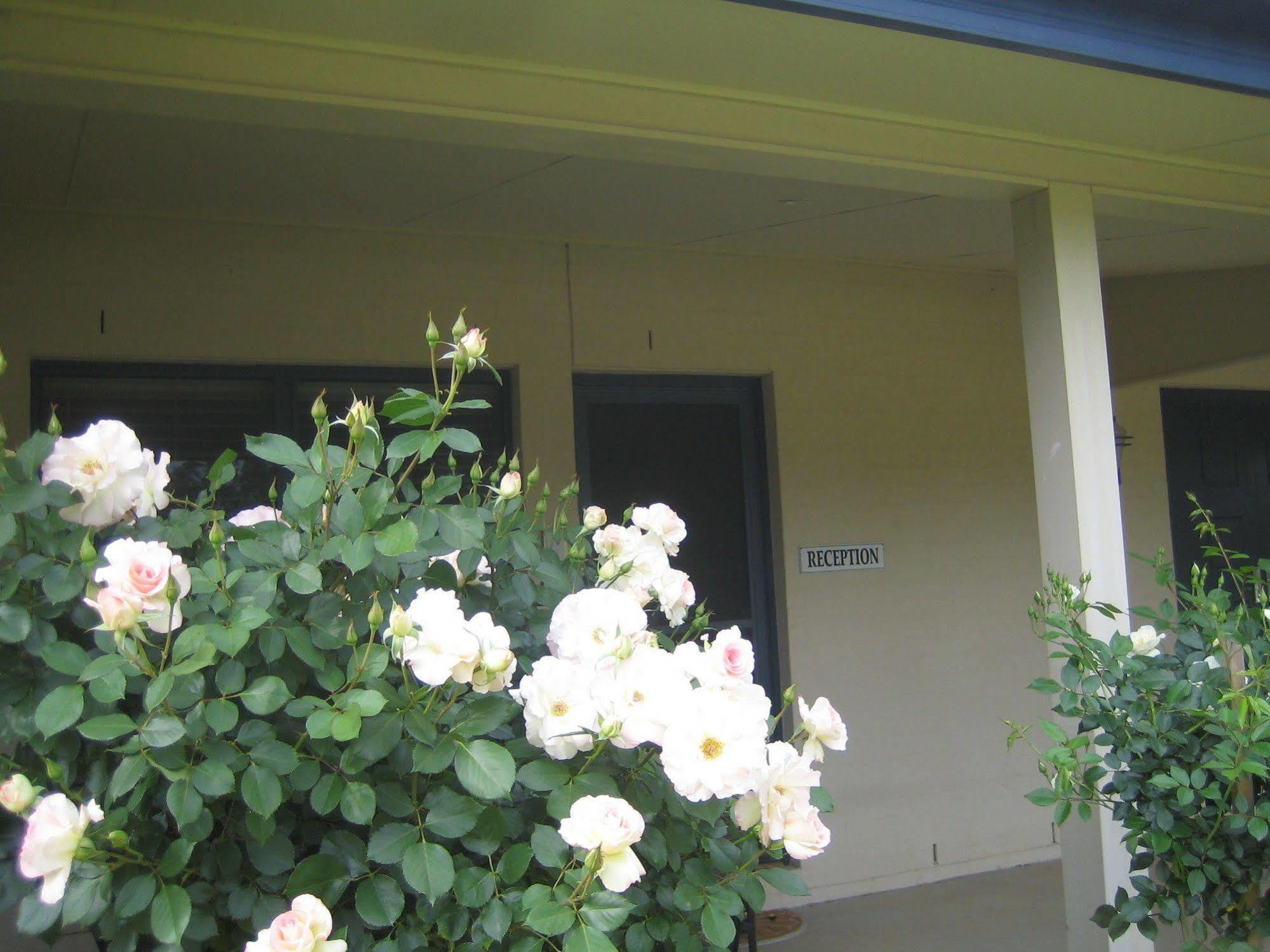 เดอะ เกรนจ์ ออน เฮอร์มิเทจ Bed & Breakfast โพโคลบิน ภายนอก รูปภาพ
